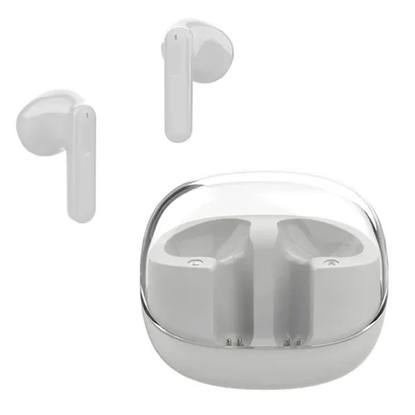 B021 white transparent earbuds case
